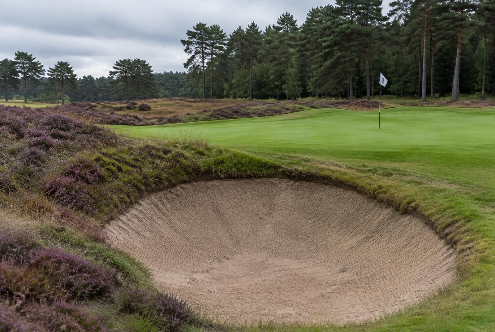 Deep bunker guarding a green with heather behind